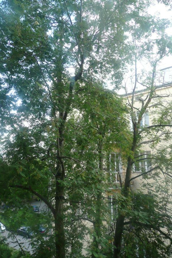 Sunny Wisla River Apartment วอร์ซอ ภายนอก รูปภาพ